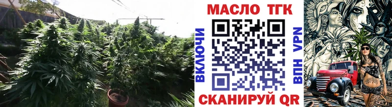магазин    Очёр  ТГК гашишное масло 